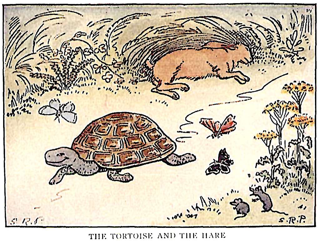 The Speedy Hare & The Steady Tortoise